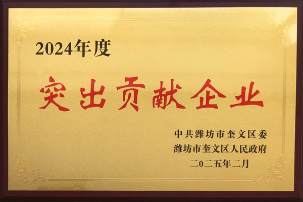 2024年度突出貢獻(xiàn)企業(yè)